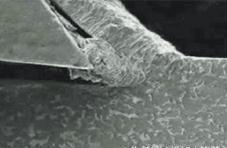 1535010831128088.jpg image004.jpg